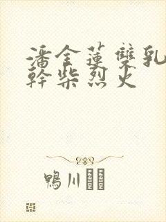 潘金莲双乳晃动干柴烈火