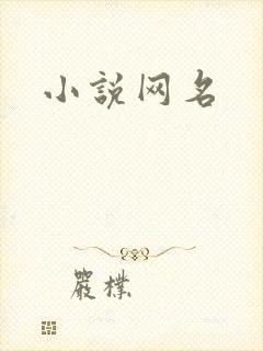 小说网名