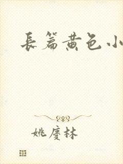 长篇黄色小说