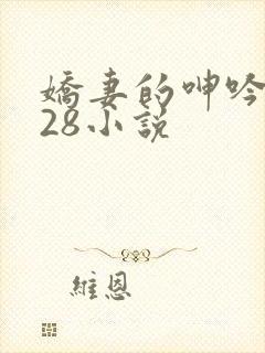 娇妻的呻吟1—28小说