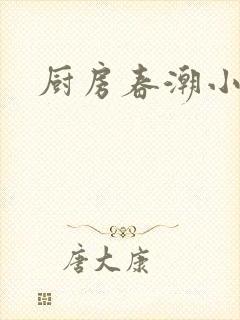 厨房春潮小说