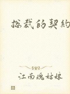 总裁的契约情人
