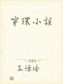 穿环小说