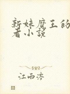 新妹魔王的契约者小说封面