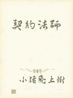 契约法师