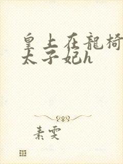 皇上在龙椅上c太子妃h封面