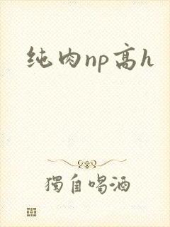 纯肉np高h封面