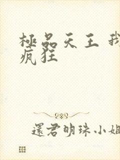 极品天王 我本疯狂