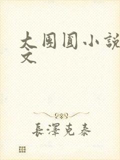 大团圆小说集全文