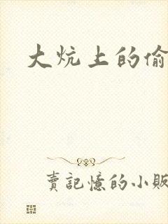 大炕上的偷乱2封面