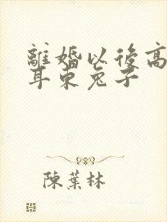 离婚以后高干 耳东兔子封面
