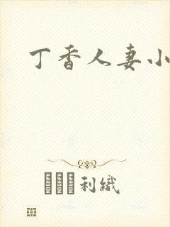 丁香人妻小说封面