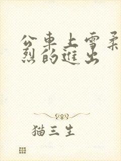 公车上雪柔被猛烈的进出