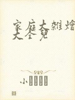 家庭大杂烩小说大全儿封面