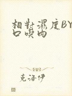 相对湿度BY大口吃肉封面