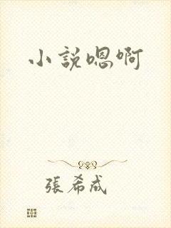 小说嗯啊