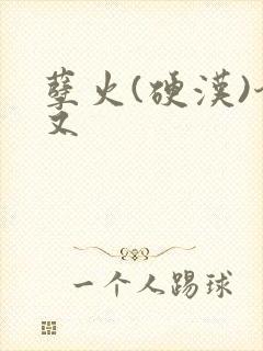 孽火(硬汉)今又