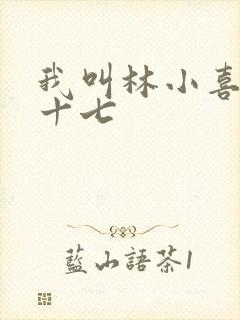 我叫林小喜今年十七封面
