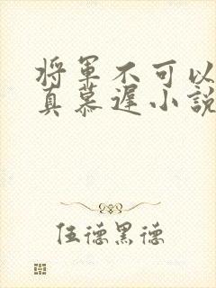 将军不可以魏云真慕迟小说笔趣阁