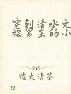 穿到清水文里造福男主的小说