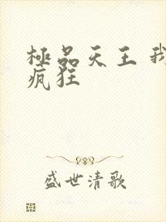 极品天王 我本疯狂