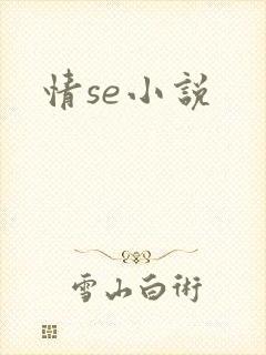 情se小说