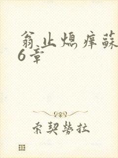 翁止熄痒苏玥第6章
