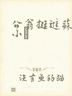 公翁挺进苏玥的小泬封面