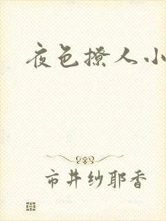 夜色撩人小说
