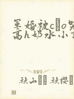 军婚被cαo哭高h奶水小说封面