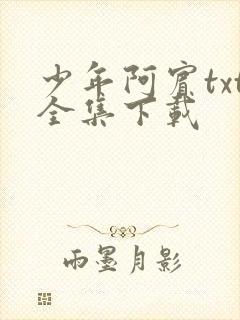 少年阿宾txt全集下载封面