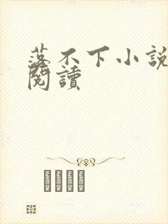 落不下小说免费阅读