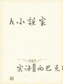 h小说家