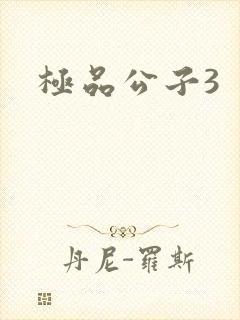 极品公子3封面