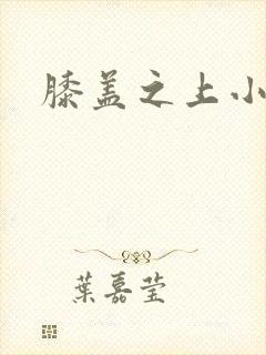 膝盖之上小说