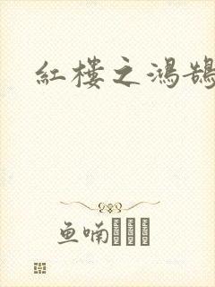 红楼之鸿鹄