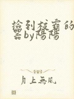 捡到校霸的遥控器by阳阳