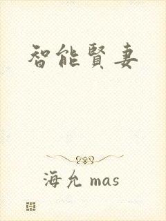 智能贤妻