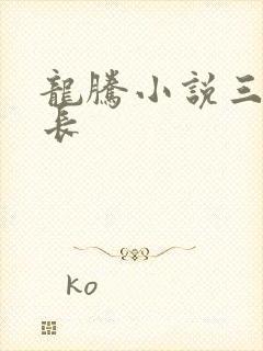 龙腾小说三宝局长