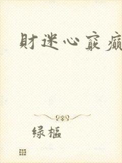 财迷心窍癫婆封面