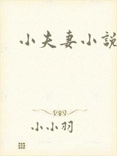 小夫妻小说