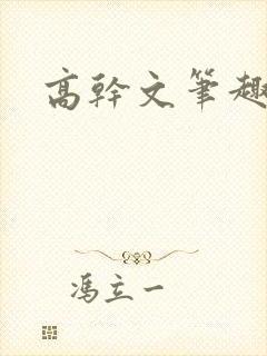 高干文笔趣阁封面