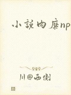 小说肉糜np
