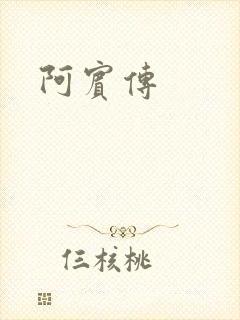 阿宾传