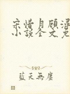 宋惜月顾浔渊的小说全文免费阅读