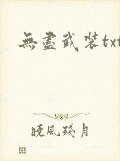 无尽武装txt