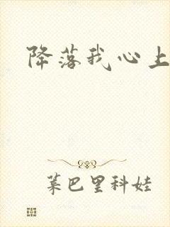 降落我心上