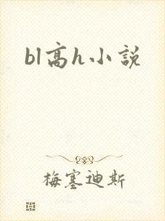 bl高h小说