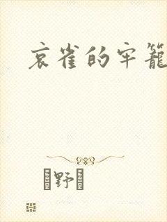 哀雀的牢笼