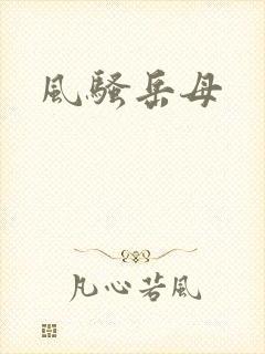 风骚岳母